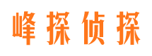 巴里坤寻人公司